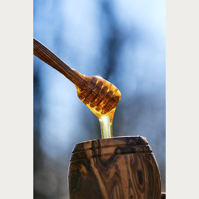 Med curi u posudu od drveta u prirodnom okruženju.