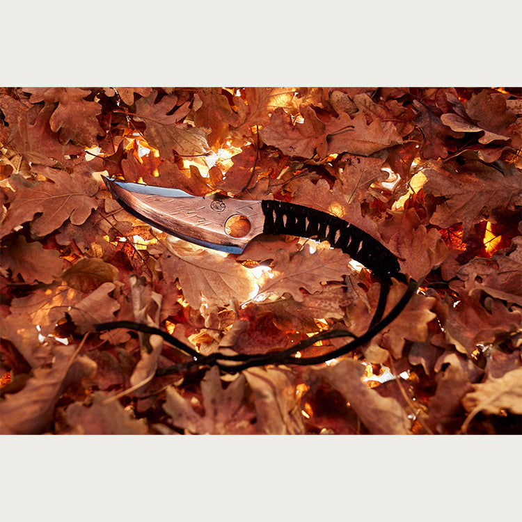 Almazan Kitchen Predator Nož spušten u opalo lišće. 